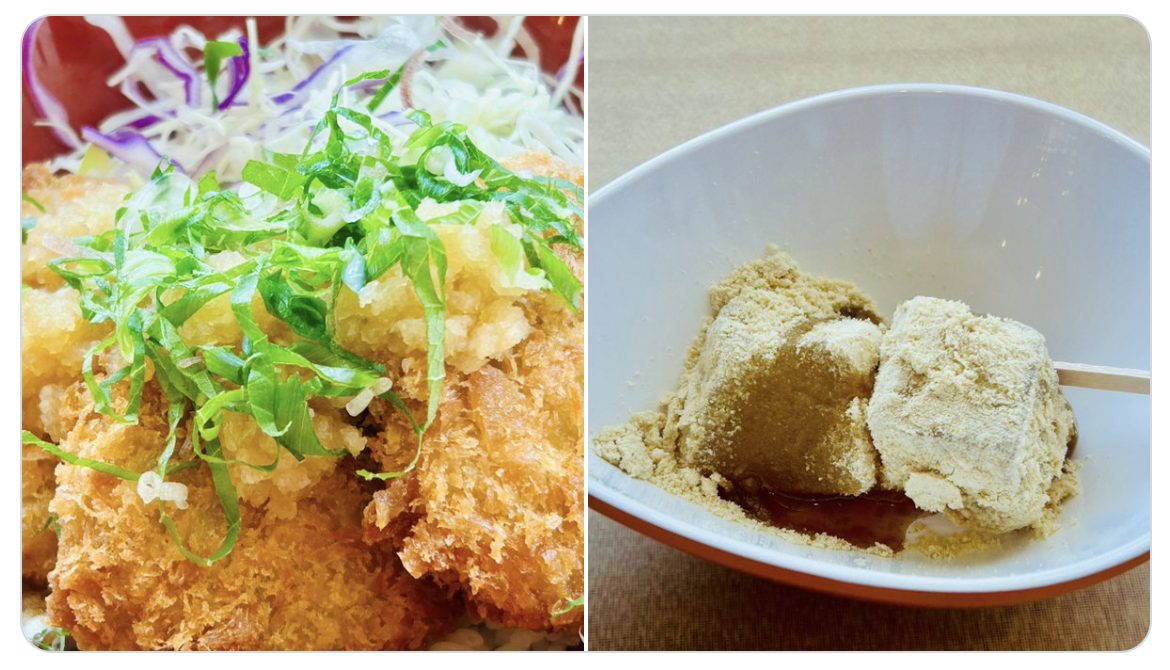さっぱりおろしヒレカツ丼
